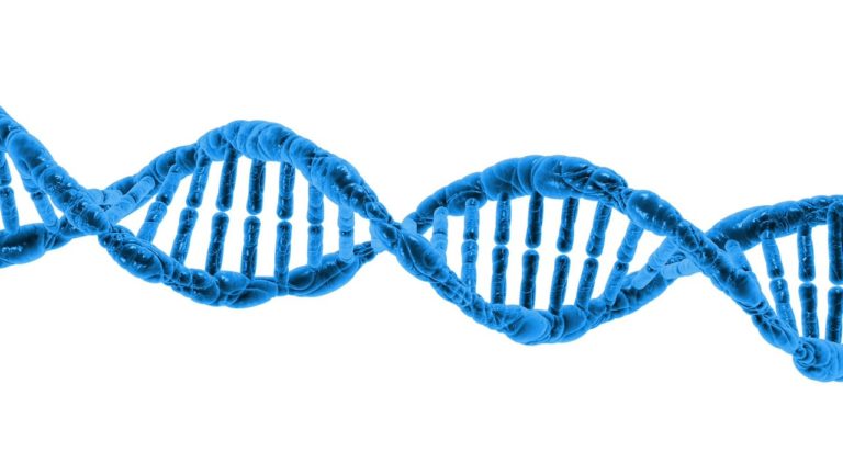 Significado De Genoma Humano - Qué Es, Definición Y Concepto