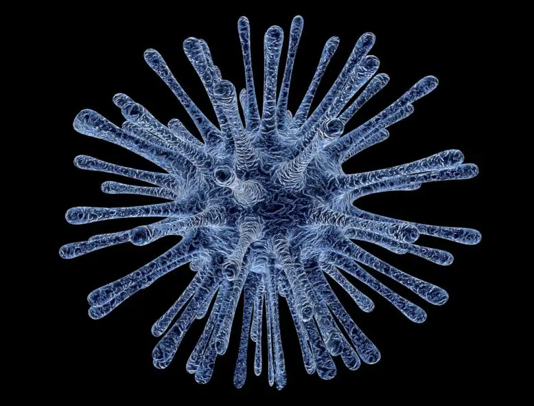 Imagen microscópica de virus de papiloma humano