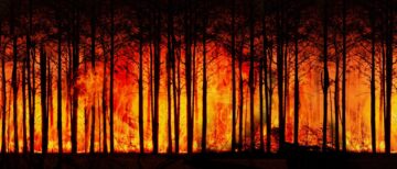 Incendio forestal por altas temperaturas y calentamiento global
