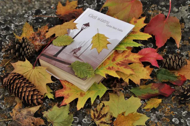 libro entre hojas otoñales dando marco a la belleza del discurso literario