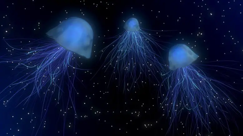 medusa en el fondo del océano